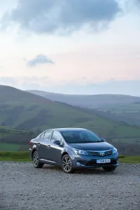 Avensis