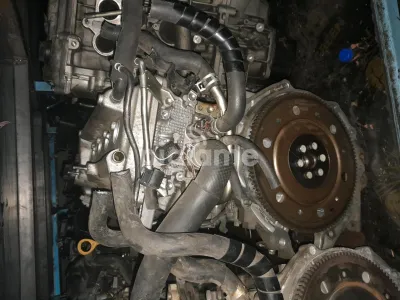 Belta