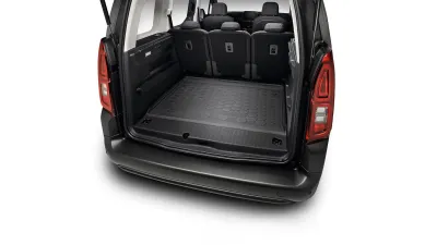 Proace
