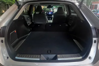 Venza
