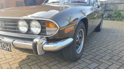 Stag