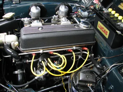 TR3