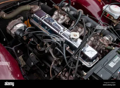 TR6