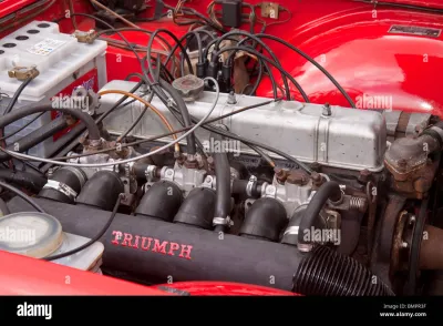 TR6
