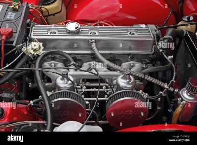 TR6