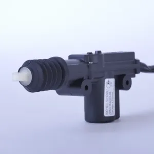 21093
