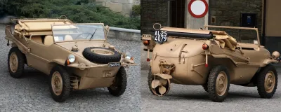 Anfibio