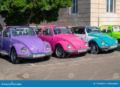 Escarabajo