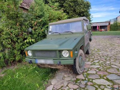 Iltis
