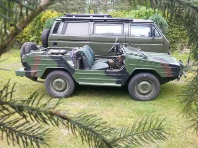 Iltis