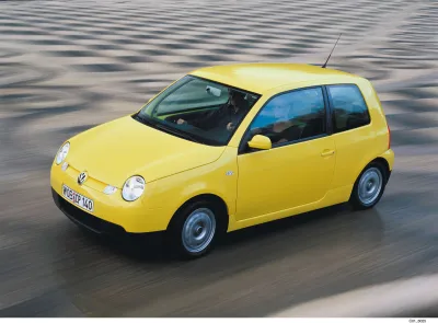 Lupo