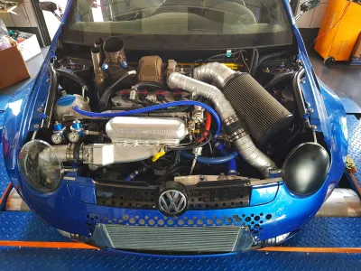 Lupo