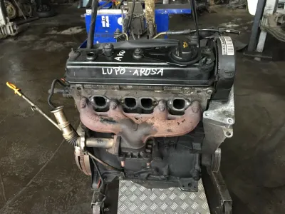 Lupo