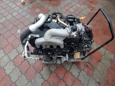 T5