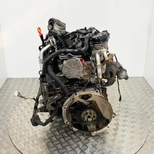 T5
