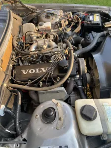 244