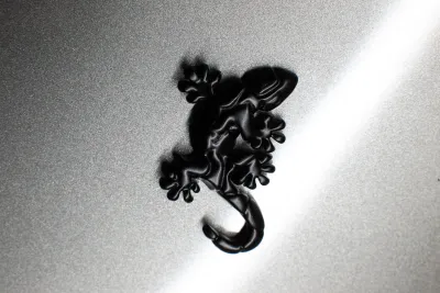 Gecko