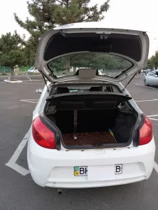 Forza